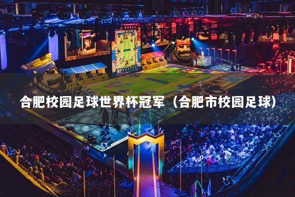合肥校园足球世界杯冠军（合肥市校园足球）