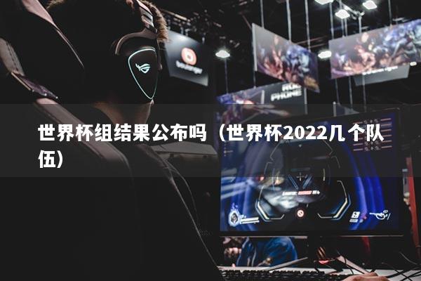 世界杯组结果公布吗（世界杯2022几个队伍）