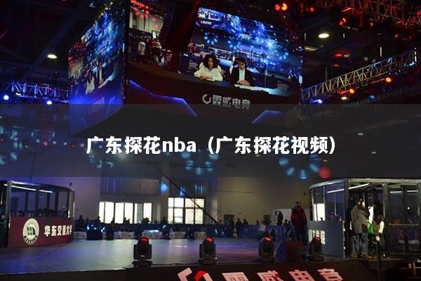 广东探花nba（广东探花视频）