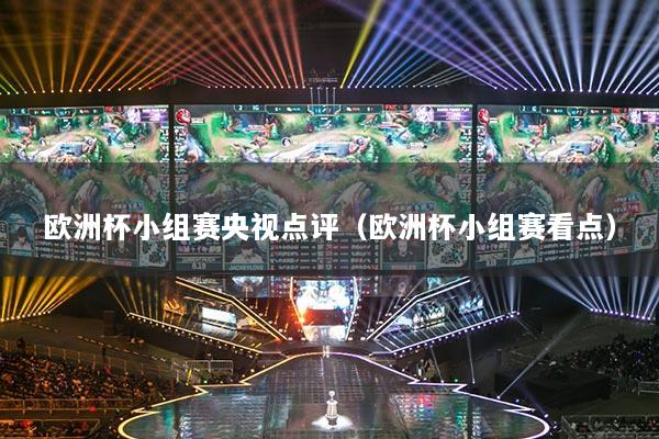 欧洲杯小组赛央视点评（欧洲杯小组赛看点）