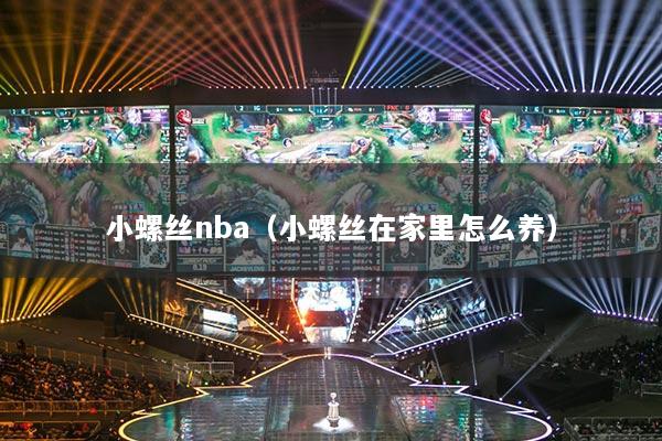 小螺丝nba（小螺丝在家里怎么养）