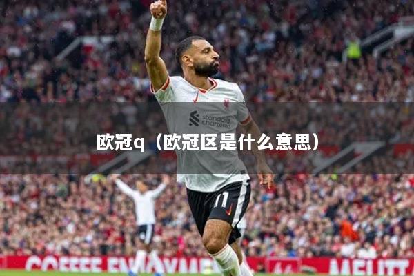 欧冠q（欧冠区是什么意思）