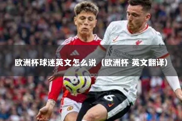 欧洲杯球迷英文怎么说（欧洲杯 英文翻译）