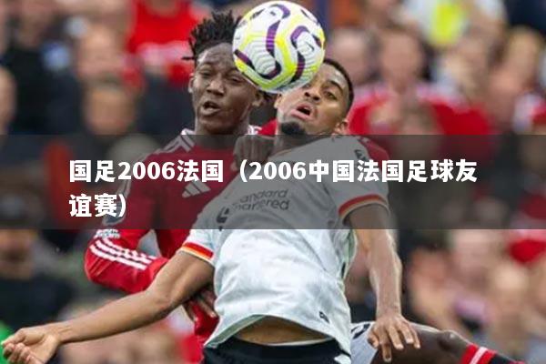 国足2006法国（2006中国法国足球友谊赛）