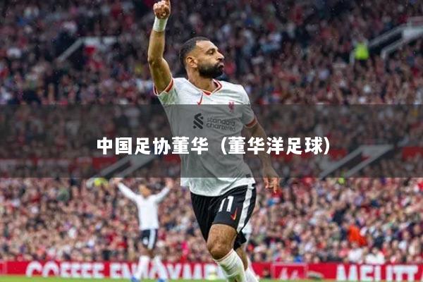 中国足协董华（董华洋足球）