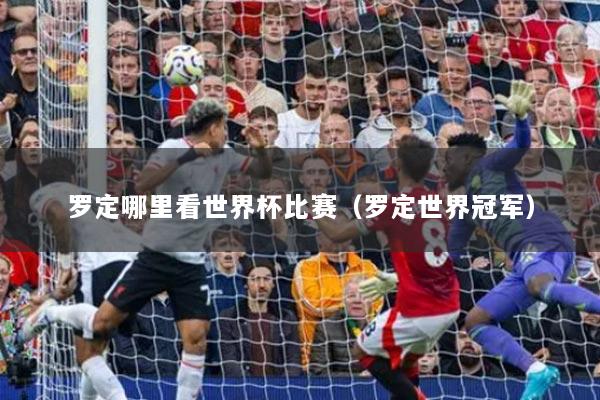 罗定哪里看世界杯比赛（罗定世界冠军）