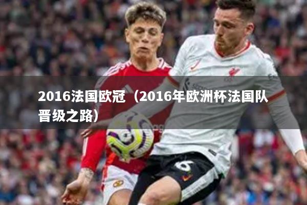 2016法国欧冠（2016年欧洲杯法国队晋级之路）