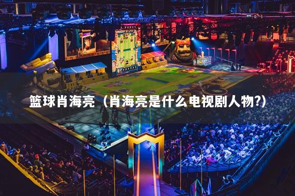 篮球肖海亮（肖海亮是什么电视剧人物?）