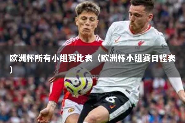 欧洲杯所有小组赛比表（欧洲杯小组赛日程表）