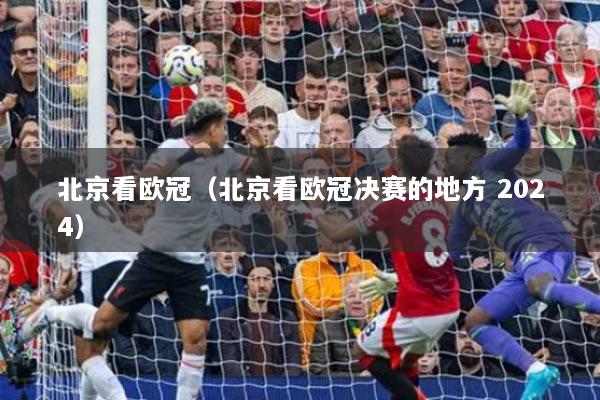 北京看欧冠（北京看欧冠决赛的地方 2024）