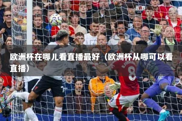 欧洲杯在哪儿看直播最好（欧洲杯从哪可以看直播）