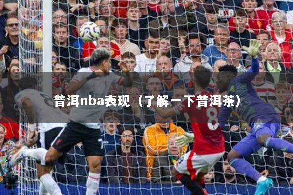 普洱nba表现（了解一下普洱茶）