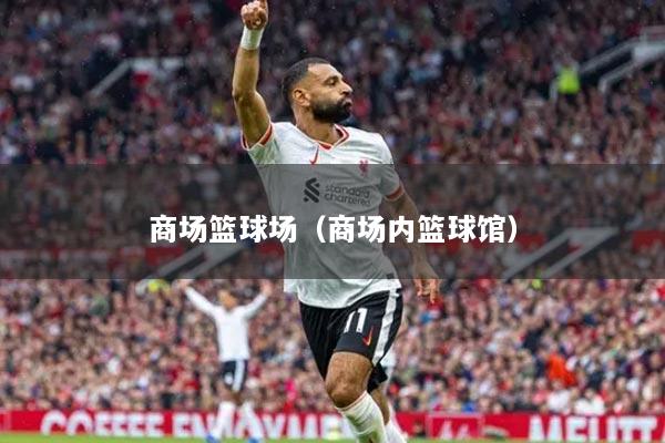 商场篮球场（商场内篮球馆）