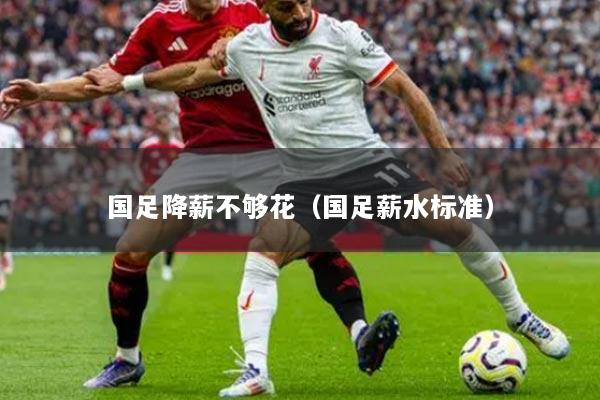 国足降薪不够花（国足薪水标准）
