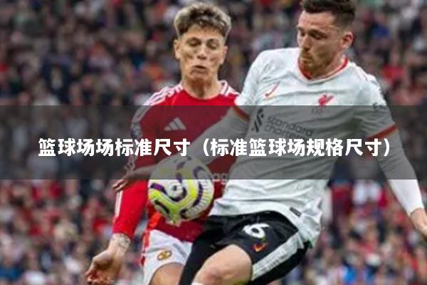 篮球场场标准尺寸（标准篮球场规格尺寸）