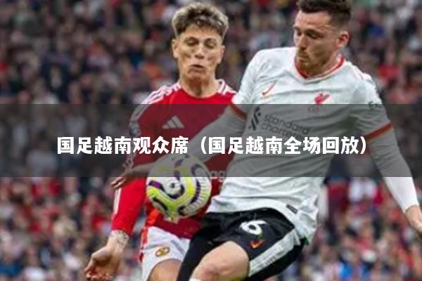 国足越南观众席（国足越南全场回放）