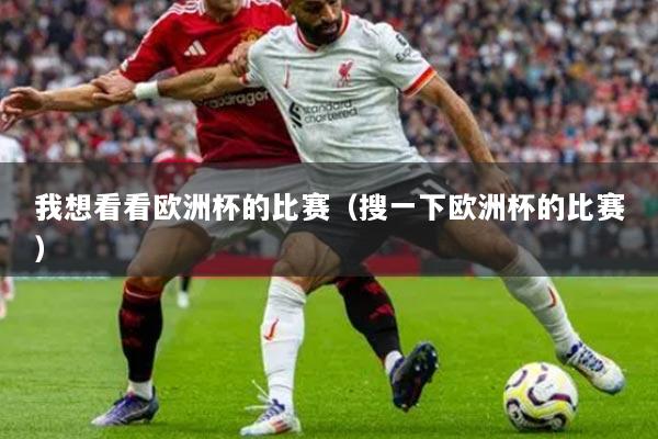 我想看看欧洲杯的比赛（搜一下欧洲杯的比赛）
