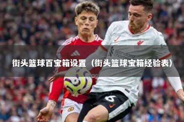 街头篮球百宝箱设置（街头篮球宝箱经验表）