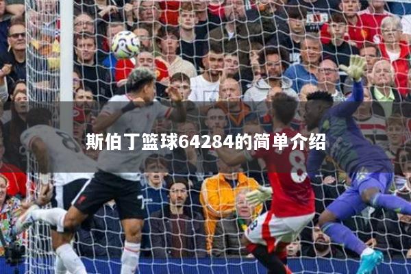 斯伯丁篮球64284的简单介绍