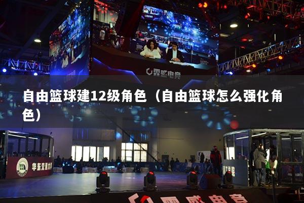 自由篮球建12级角色（自由篮球怎么强化角色）