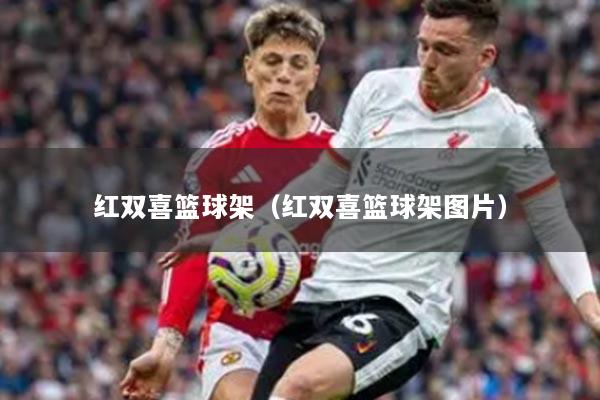 红双喜篮球架（红双喜篮球架图片）