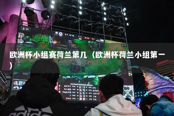 欧洲杯小组赛荷兰第几（欧洲杯荷兰小组第一）