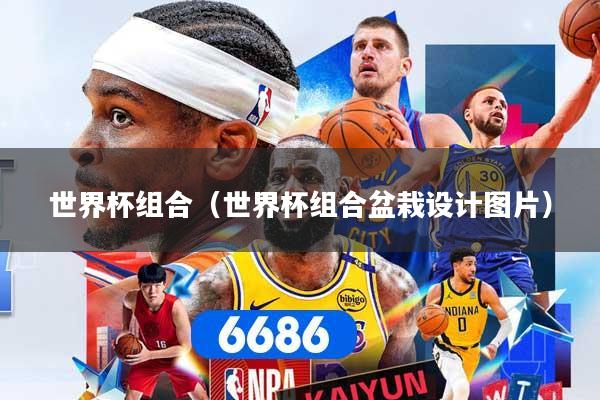 世界杯组合（世界杯组合盆栽设计图片）