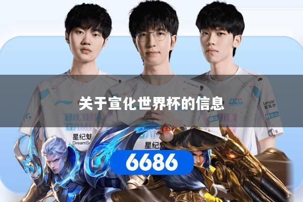 关于宣化世界杯的信息