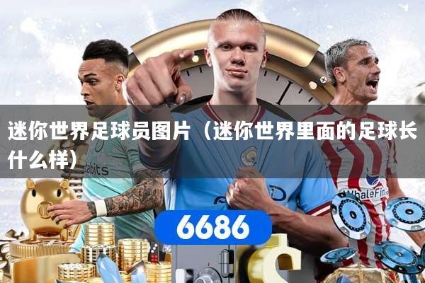 迷你世界足球员图片（迷你世界里面的足球长什么样）