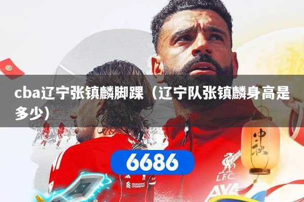 cba辽宁张镇麟脚踝（辽宁队张镇麟身高是多少）